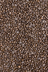 Coffee beans closeup background