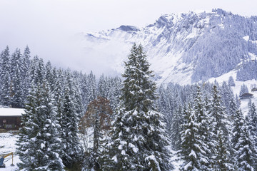 初冬のグリンデルワルト