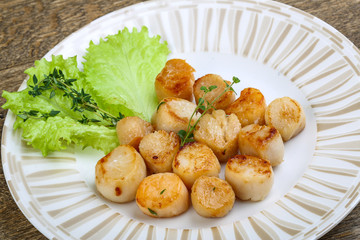 Scallops