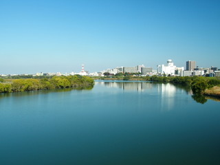 Fototapeta na wymiar 冬の江戸川風景