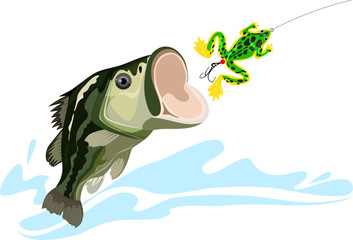 Bass and lure