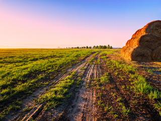 Naklejka premium Countryside Road Spring Landscape