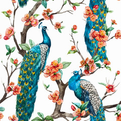 Watercolor vector peacock pattern