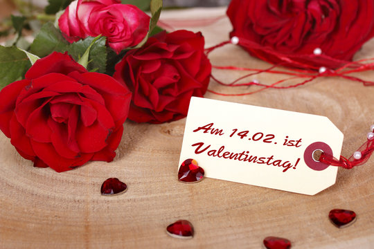 valentinstag - rose, schild