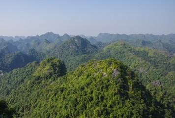 Fototapeta na wymiar Panorama of Cat Ba National Park in Vietnam