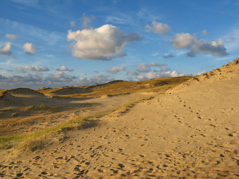 Dunes in Neringa
