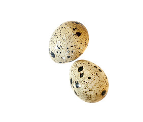 Quail eggs