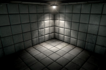 Padded Cell Dirty