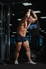 Fototapeta na wymiar Muscularl athletic bodybuilder doing triceps exercises in gym