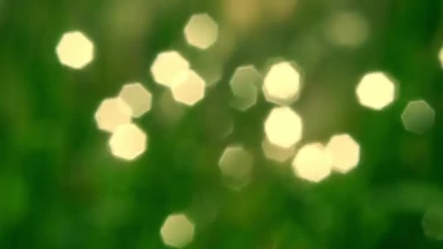 Play of sparkles on wavy water surface through unfocused grass in sunny day. Placatory natural blur background in slow motion. Full HD footage 1920x1080
