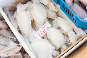 Fototapeta na wymiar Delicious Mediterranean squids close up on counter