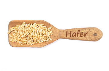 Hafer