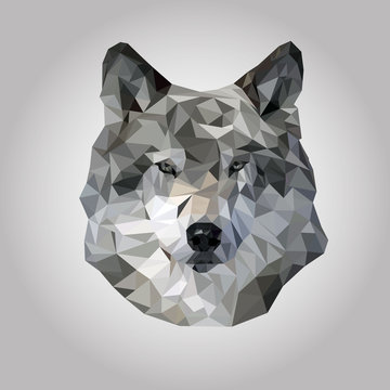  Wolf polygonal vector.