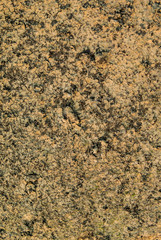 Rock at sea texture background