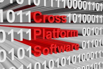 Cross platform software is presented in the form of binary code