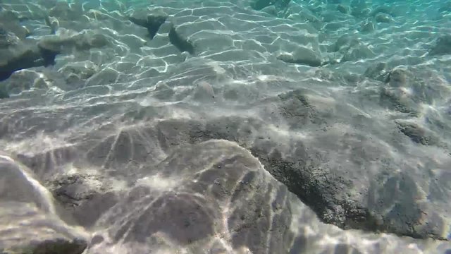 fondali marini 
seabed