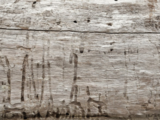 Holzstruktur, Spuren des Borkenkäfers