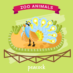 Obraz na płótnie Canvas Vector Zoo Animal, Peacock