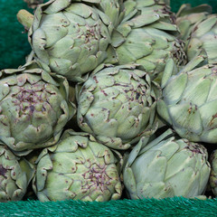 Fototapeta premium Artischocken