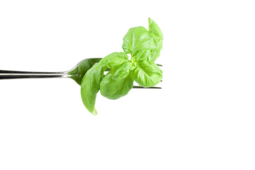 a sprig of fresh basil on a fork on a white background