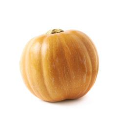 Single ripe orange pumpking isolated