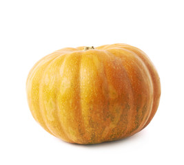 Single ripe orange pumpking isolated