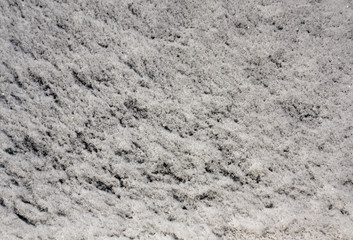 Snow on car glass.