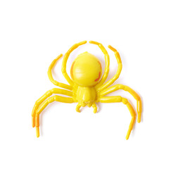 Fake rubber spider toy isolated
