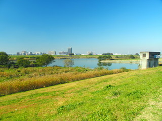 Fototapeta na wymiar 水門のある江戸川風景