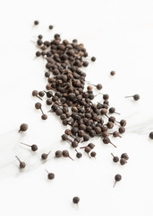 Cubebe pepper (Piper cubeba)