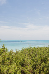 Stintino, Dorf, Küste, Sandstrand, Badeferien, Strand, La Pelosa, Wassersport, Badestrand, Sommer, Sommerhitze, Insel, Sardinien, Italien