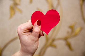 Fototapeta premium paper hearts on woman hand