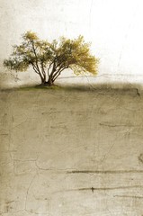 Surreal landscape with single tree in sepia tones © imagosrb