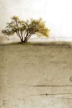 Surreal landscape with single tree in sepia tones