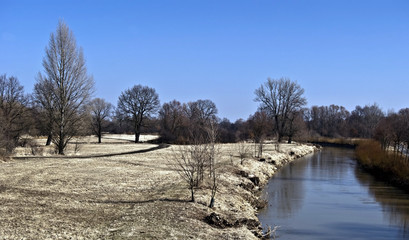 early spring meadow with isolated trees and Odra river