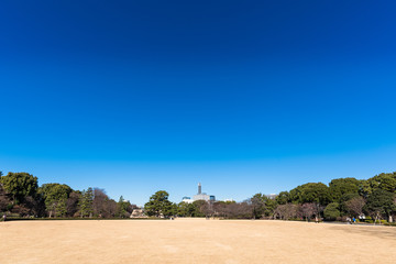 冬の青空と芝生　皇居東御苑