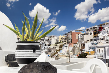 Black and white pot with cactus in Oia