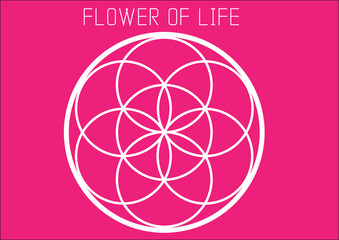 Flower of life.