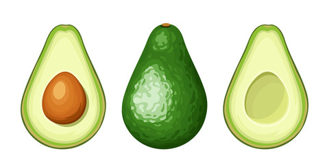 Vector set of whole and sliced avocado fruit isolated on a white background.