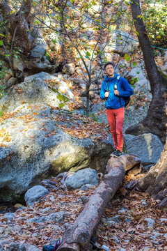 Young Man with Backpack walking on fallen Tree Stalk