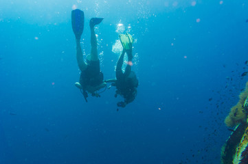 Diver blue water scuba diving at Shark island of Koh tao