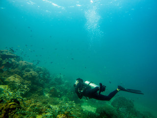 Sucba Diving