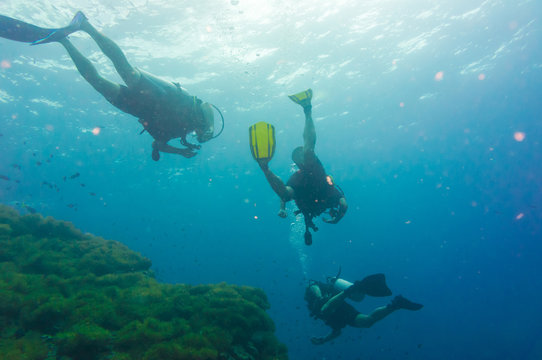 Scuba diving on coral reef in sea