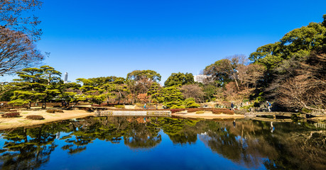 Fototapeta premium 皇居東御苑 二の丸庭園