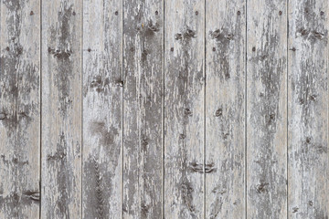 Obraz premium wooden wall texture