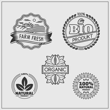Collection of labels and badges for organic, eco and bio products on gray background.