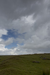 Obraz na płótnie Canvas Dartmoor