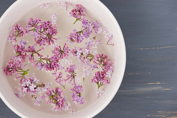 Fresh lilac flower petals floating on water in the white ceramic bowl on blue painted background.
