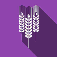 Wheat ear icon with long shadow.