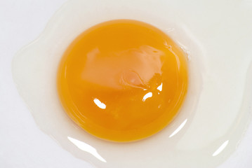   Egg yolk closeup on white